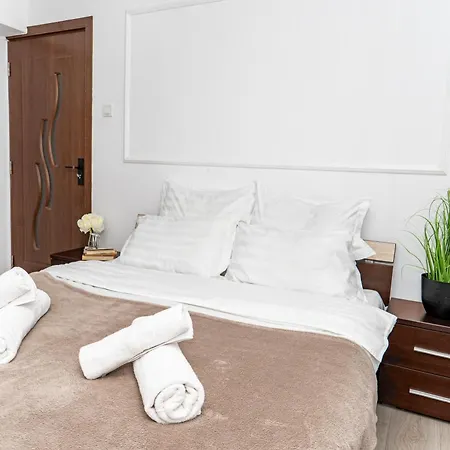 Panoramic With Public Parking Tpark Paid By Us In * Timişoara