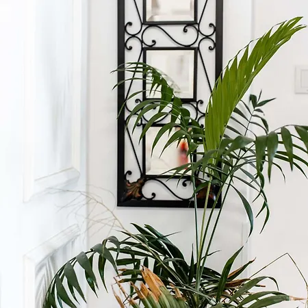 Panoramic In Apartment *