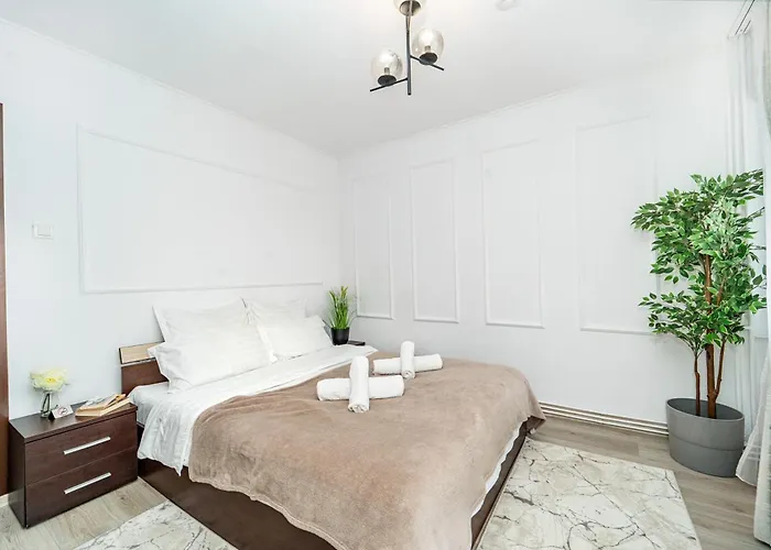 Panoramic With Public Parking Tpark Paid By Us In * Timişoara