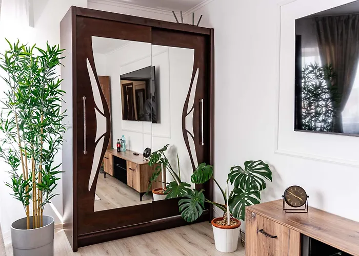 Apartament Panoramic With Public Parking Tpark Paid By Us In Timişoara