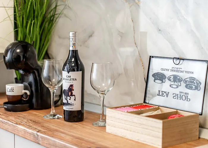 Apartament Panoramic With Public Parking Tpark Paid By Us In *