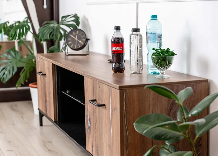 Panoramic With Public Parking Tpark Paid By Us In * Timişoara