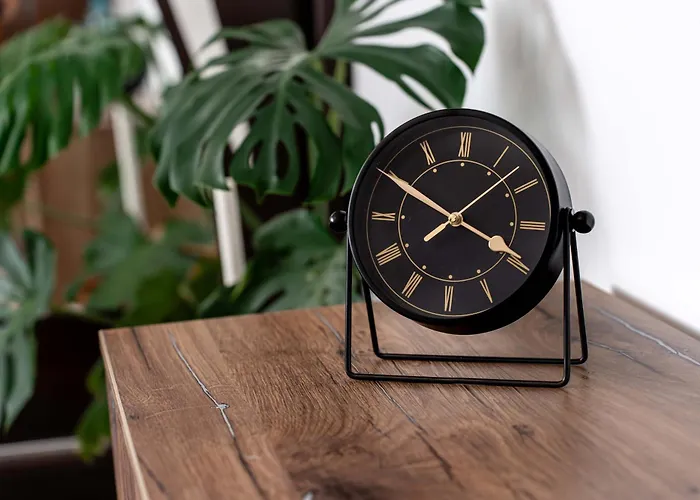 Appartement Panoramic With Public Parking Tpark Paid By Us In Timişoara