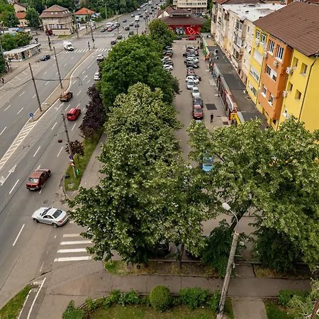 شقة Panoramic With Public Parking Tpark Paid By Us In تيميشورا