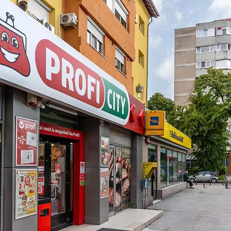 Panoramic With Public Parking Tpark Paid By Us In شقة تيميشورا