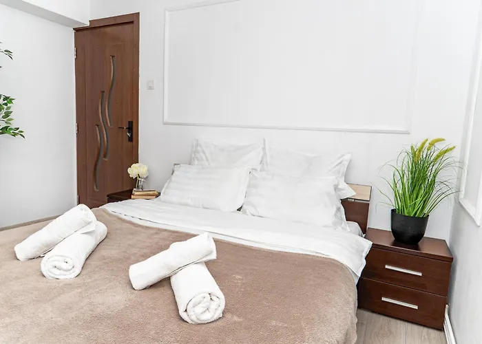 Panoramic With Public Parking Tpark Paid By Us In * Timişoara